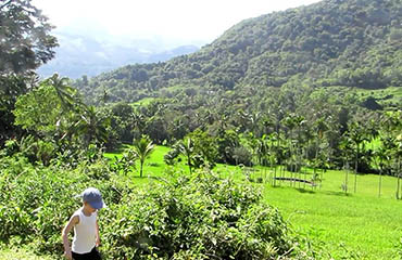 Knuckles mountain trekking, Knuckles trekking Tours, Trekking in Knuckles mountains, Trekking Tours in Knuckles mountains, Knuckles mountains Trekking Trips, Trekking trips in the Knuckles mountains, Knuckles mountains trekking, Trek to Knuckles mountains, Trekking Tours in Kandy, Kandy Trekking Trips in Knuckles mountains, Knuckles mountains Kandy trekking tours, Vedda Village Trekking Tours, Trek to Vedda Village in Dambana, Dambana Vedda Village Trekking