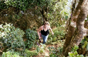 Trek in Knuckles mountains